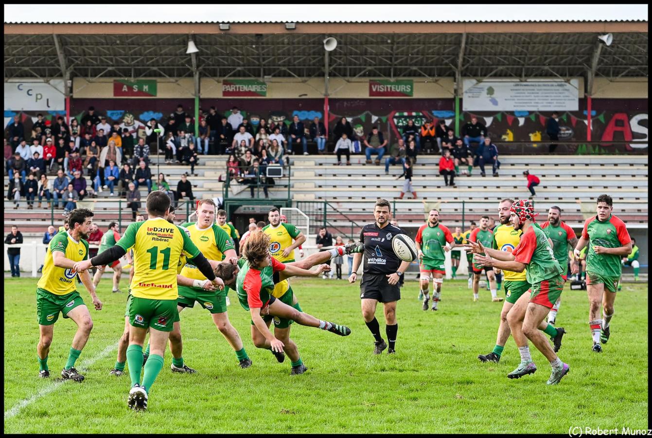 402907798_3840144526212765_2395332634269179984_n