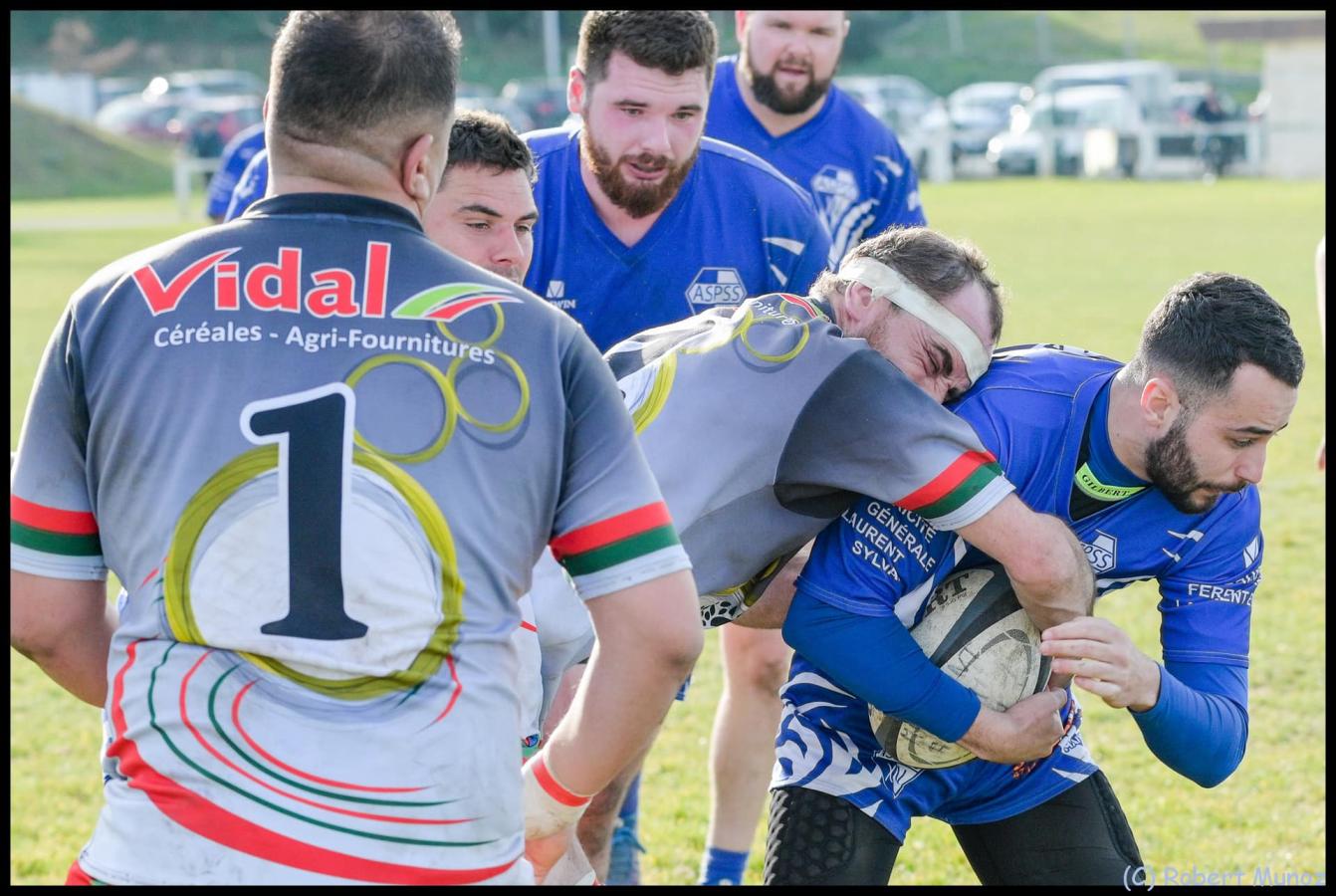 Lambert précieux à l'arrachage des ballons