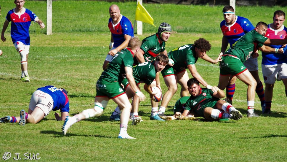 Gabardan 23-30 ASM a