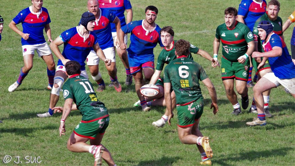 Gabardan 23-30 ASM b