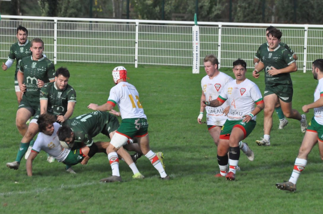 Sainte-(Bazeille 20251026c